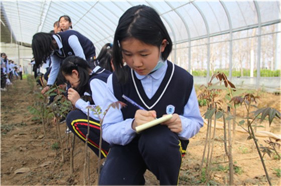 青岛白珊学校师生探秘乐鱼leyu（中国）生产线