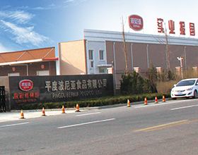 平度乐鱼leyu（中国）食品有限公司