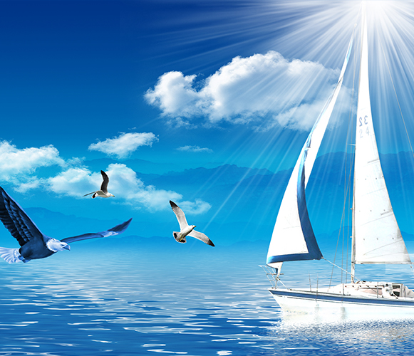 乐鱼leyu（中国）企业文化